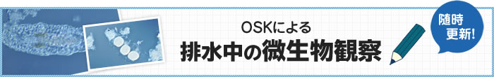 OSKによる排水中の微生物観察 随時更新!!